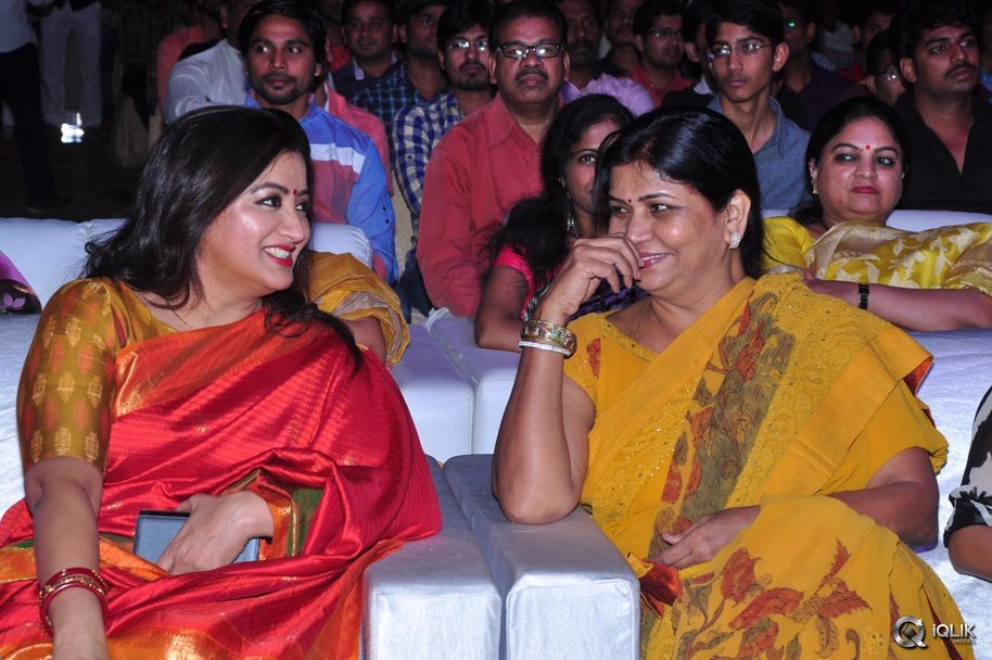 Mama-Manchu-Alludu-Kanchu-Movie-Audio-Launch